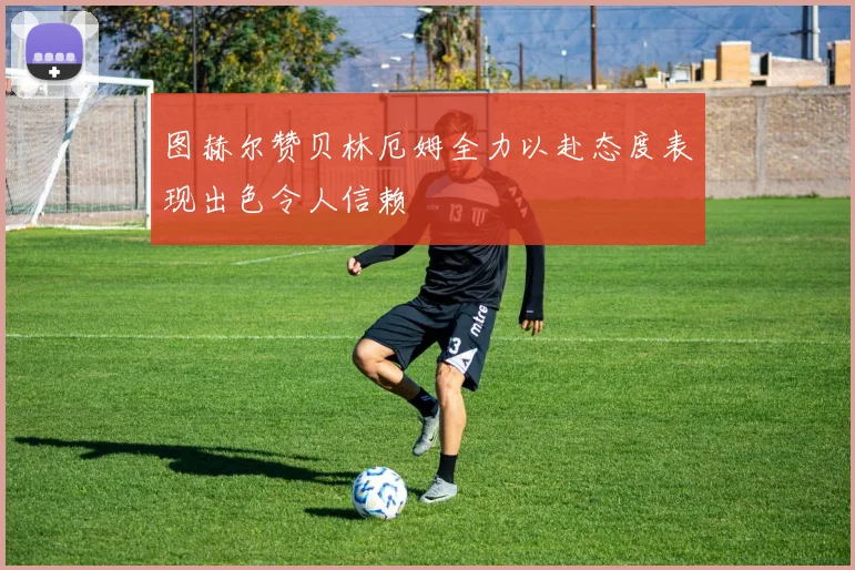 图赫尔赞贝林厄姆全力以赴态度表现出色令人信赖