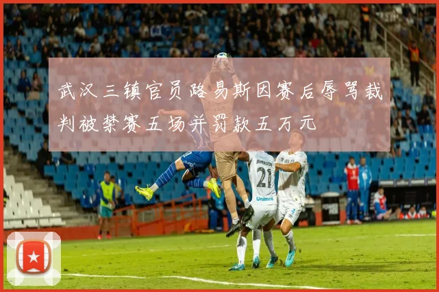 武汉三镇官员路易斯因赛后辱骂裁判被禁赛五场并罚款五万元